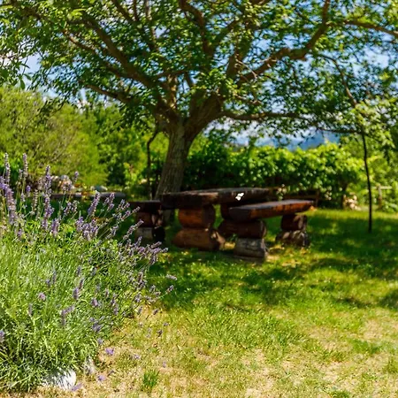 Tatil Evi House Annie