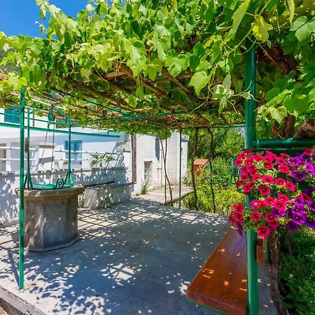 Tatil Evi House Annie Drivenik